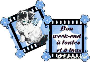 chats